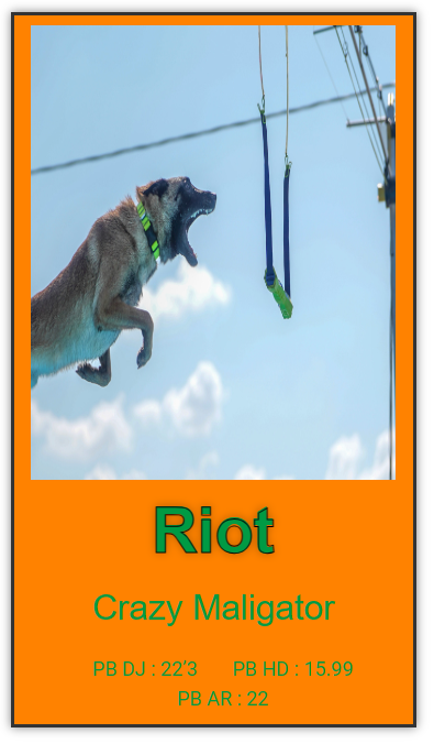 riot player card 1